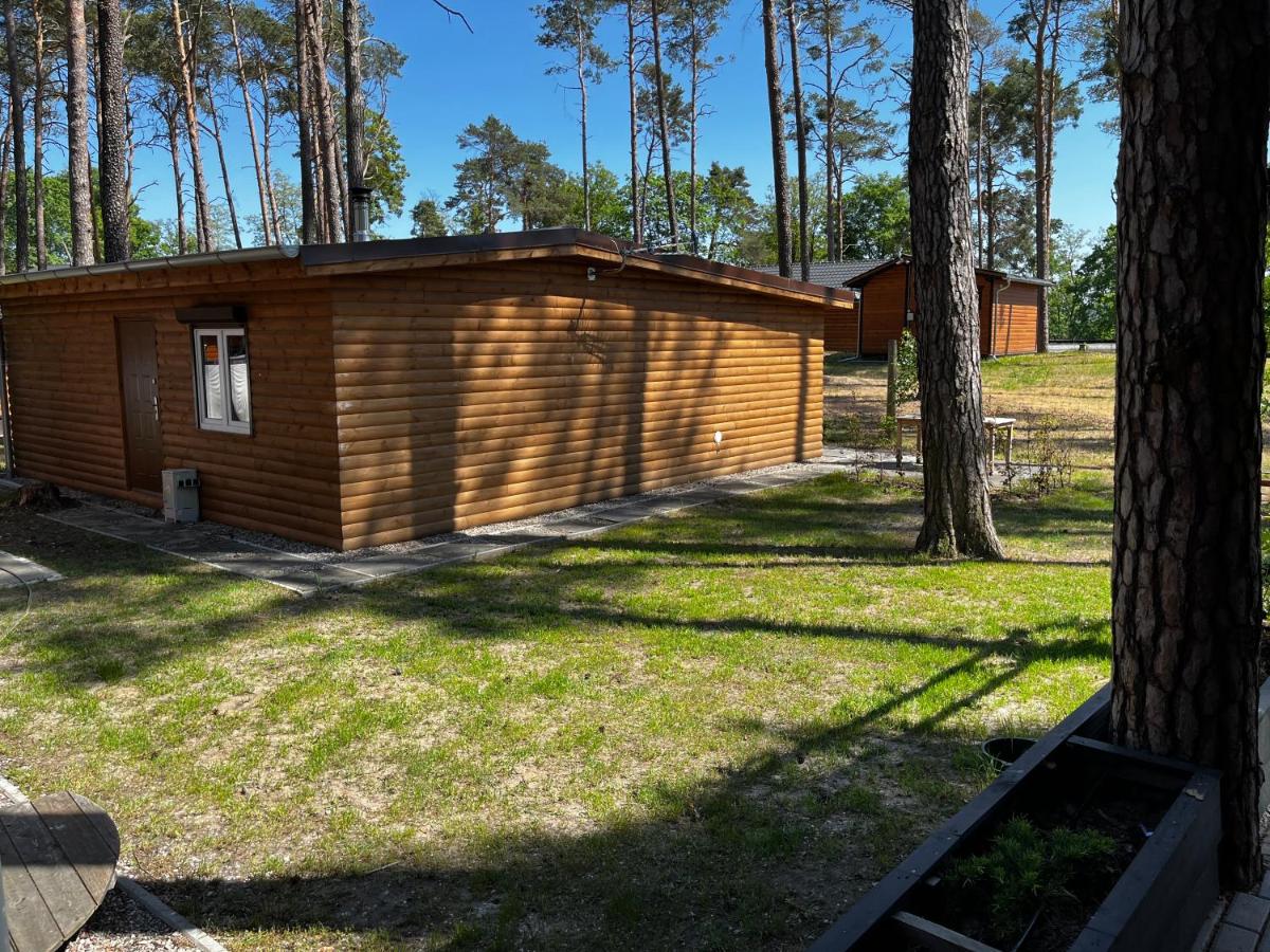 Domek Dębowy 2 - Housity