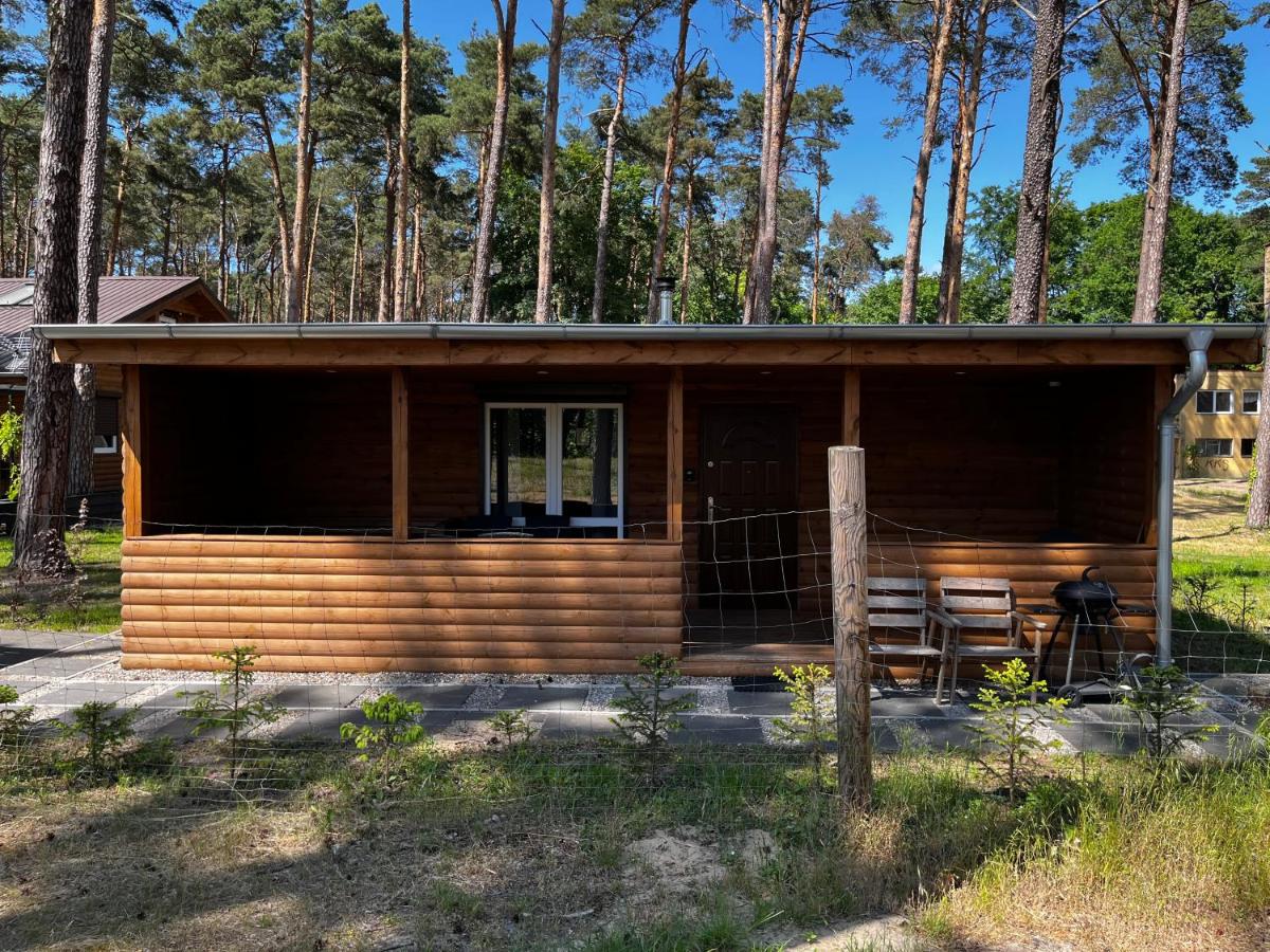 Domek Dębowy 2 - Housity