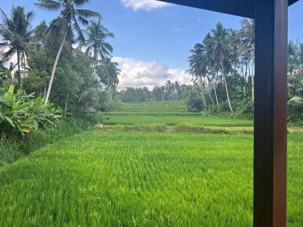 Ubud Sawah Scenery Villa and Homestay - Housity