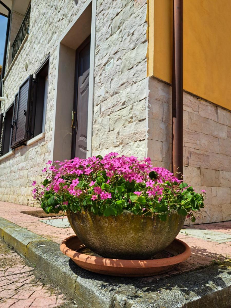 La casa di mezzo-affitti brevi-zona ospedali - Housity