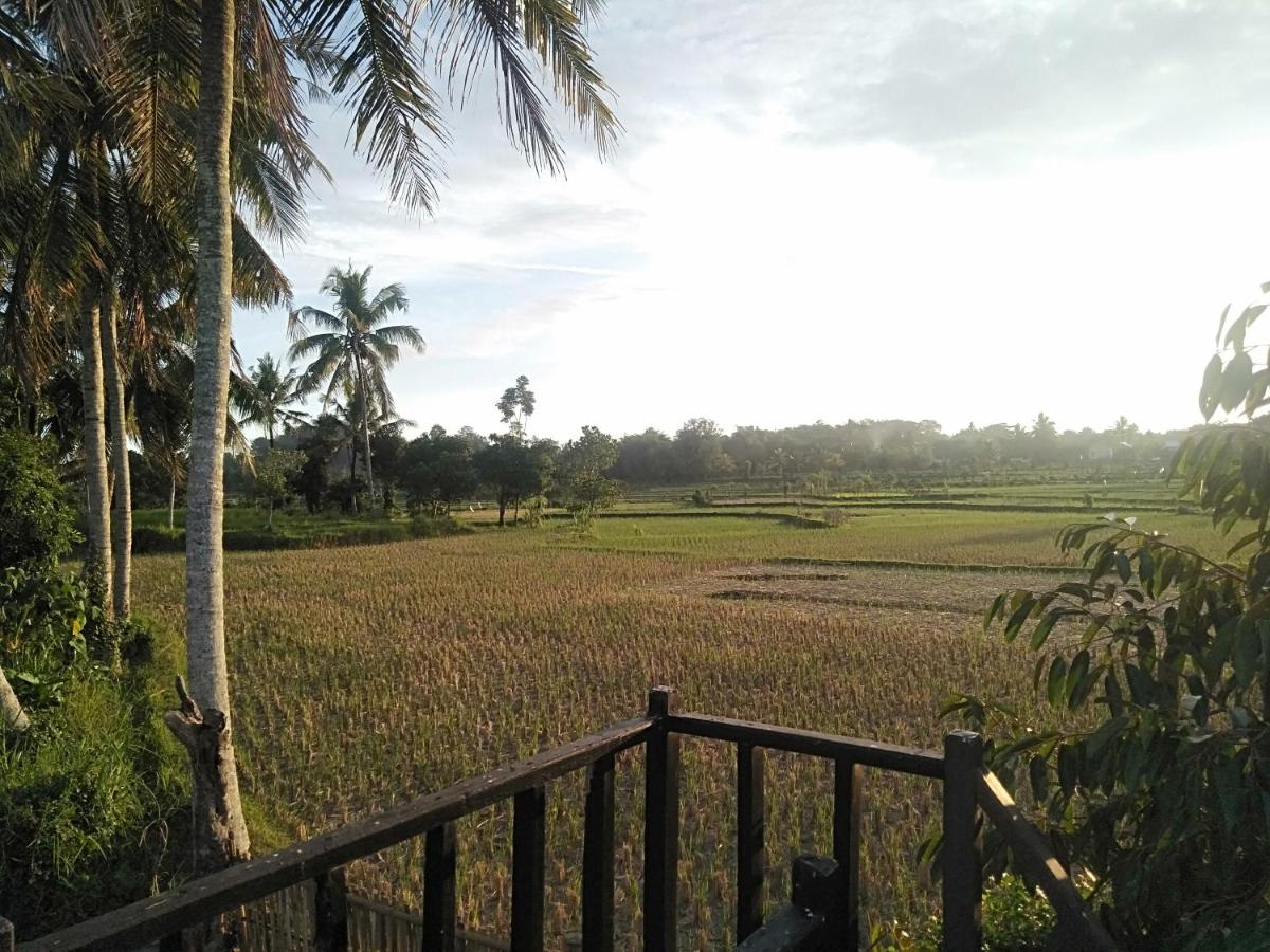 Bujak Permai Avocado Bungalow - Housity