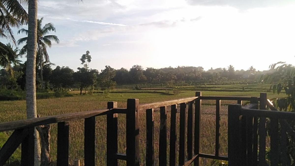 Bujak Permai Avocado Bungalow - Housity