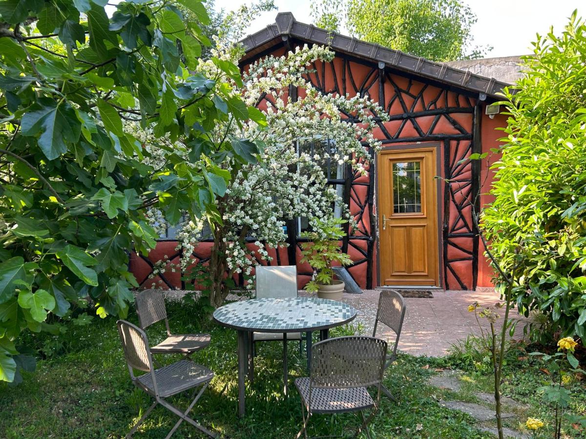 Charming independent guest house - spacious studio with terrace and garden, 25 minutes from Paris - Housity