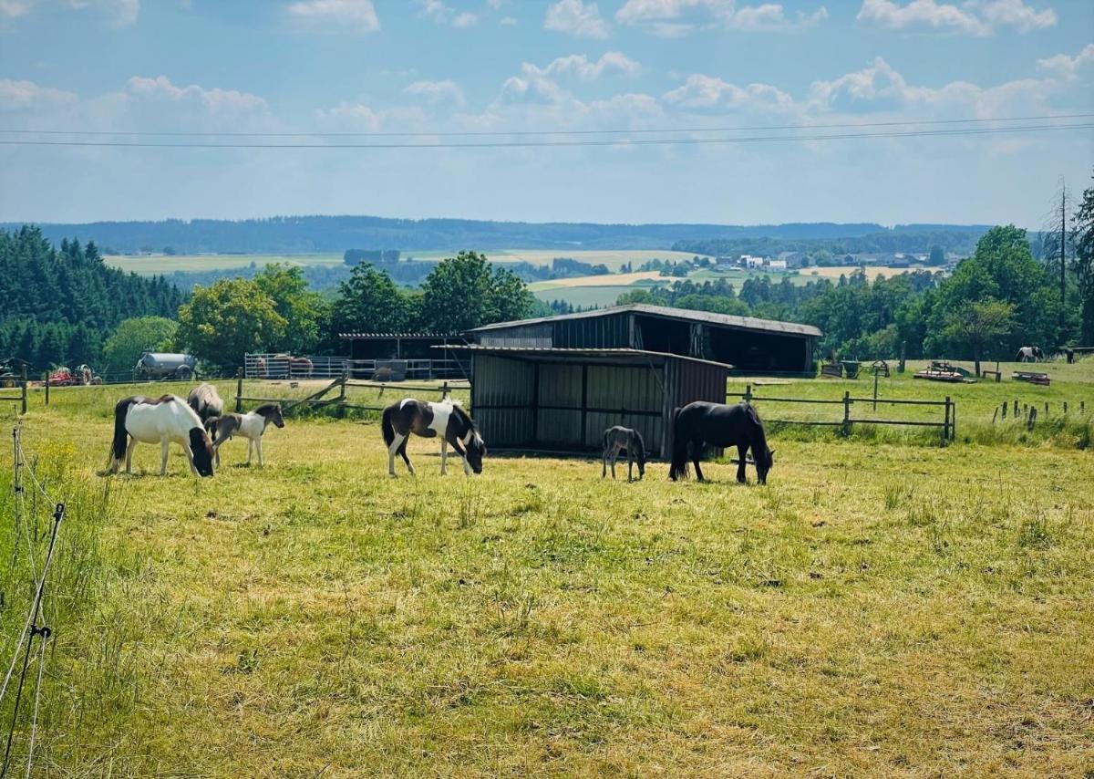 Ferienwohnung Eifel (Blick Aremberg) - Housity