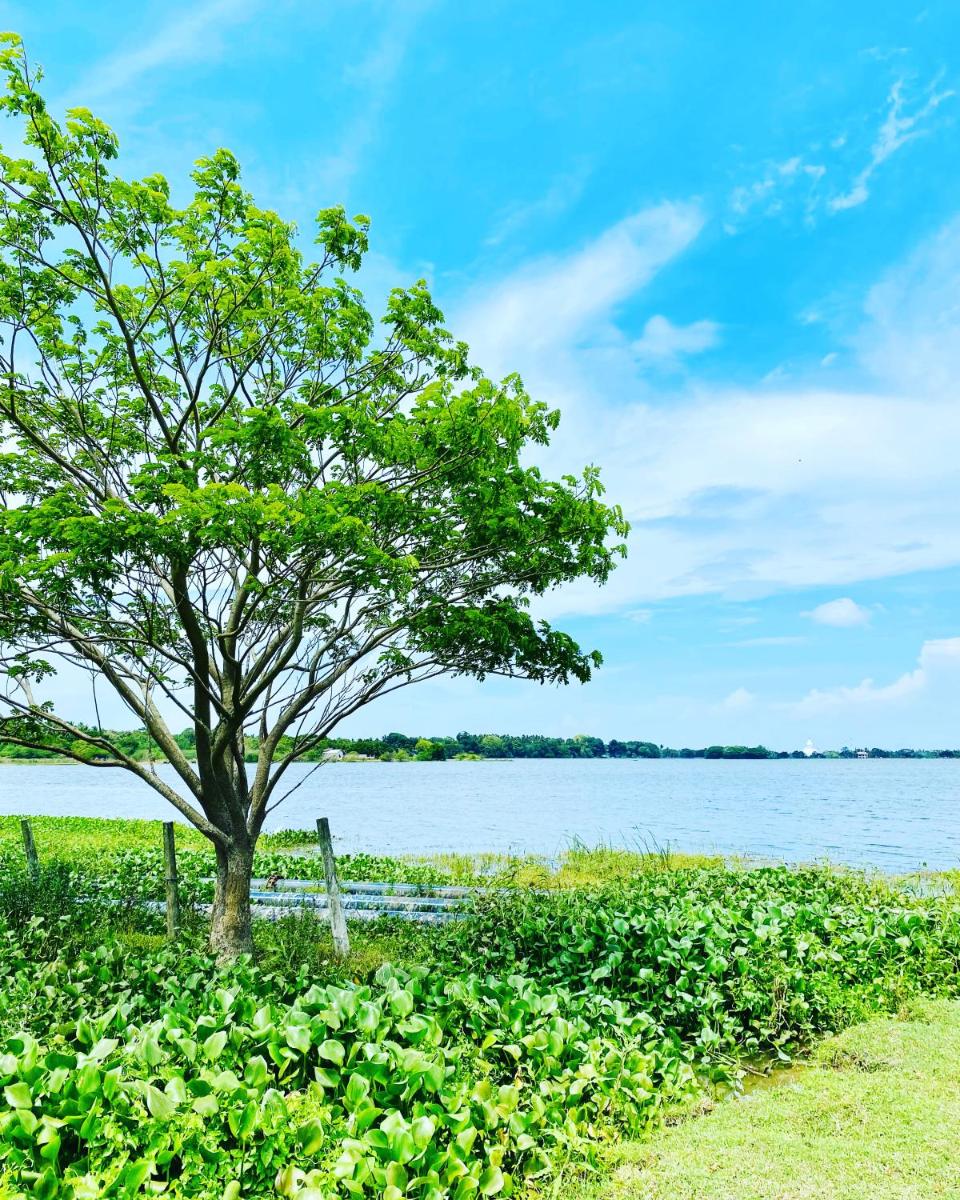 Lake View Cottage - Housity