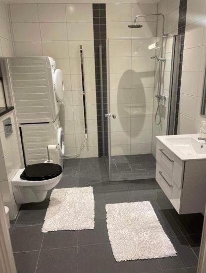 Nyrenoverad lägenhet - Housity