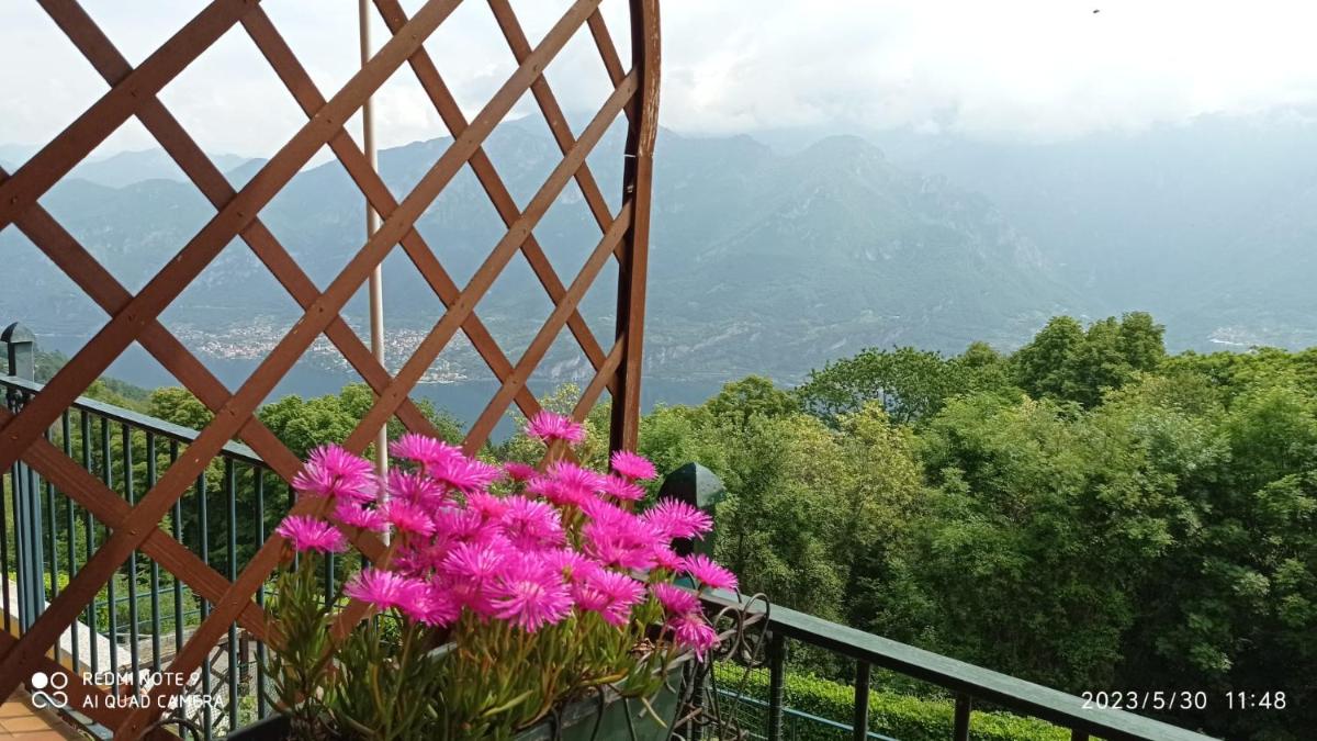 IL BALCONE SUL LAGO - Housity