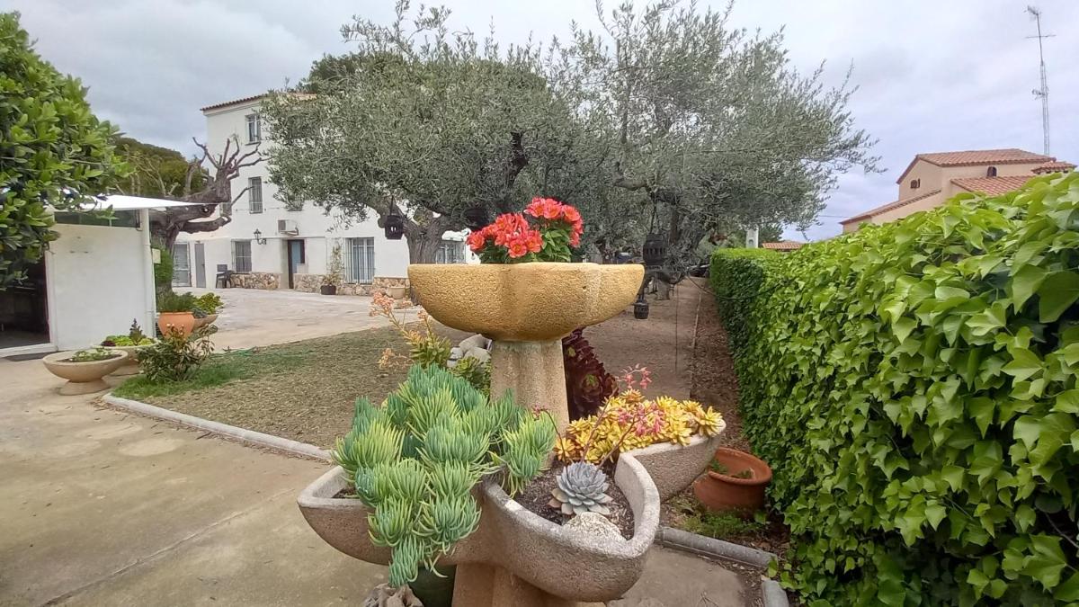 Apartments in Villa Isabel - Housity