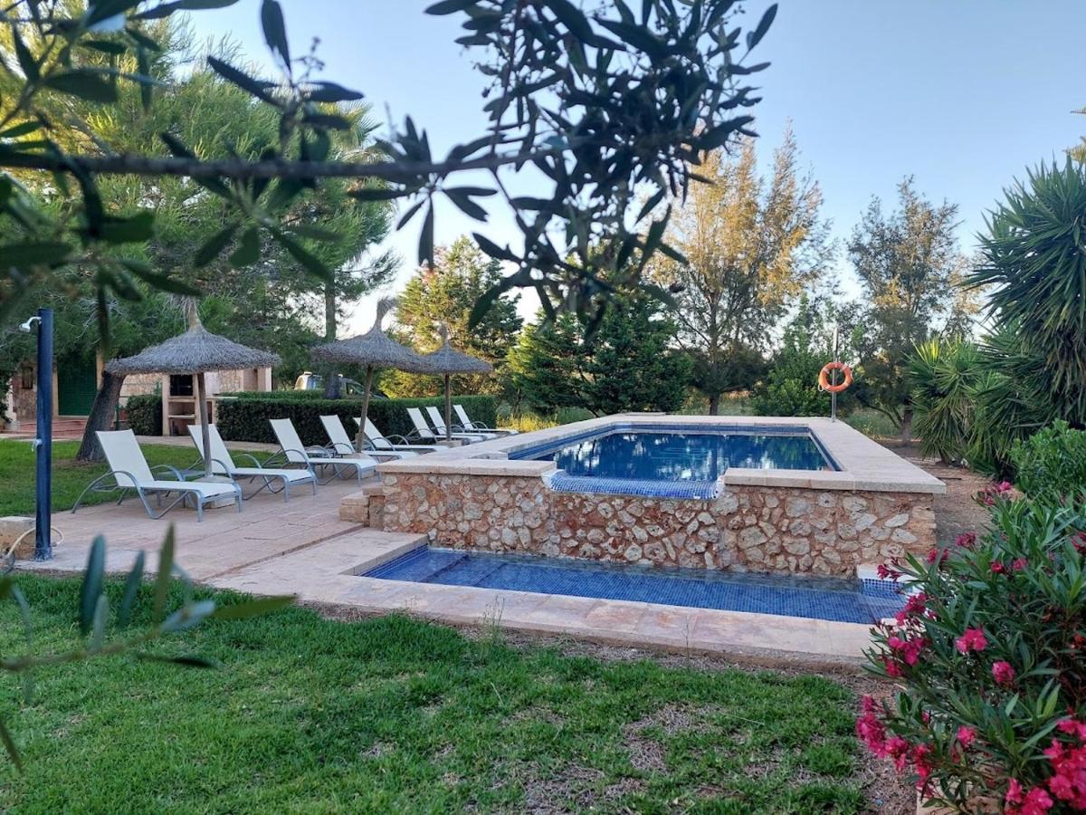 Finca Girasols - Housity