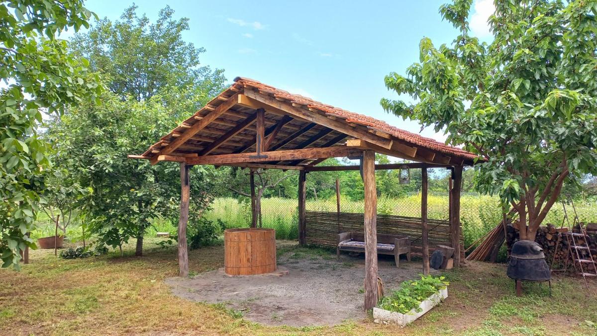 Veli Guest House • საოჯახო სასტუმრო ველი - Housity