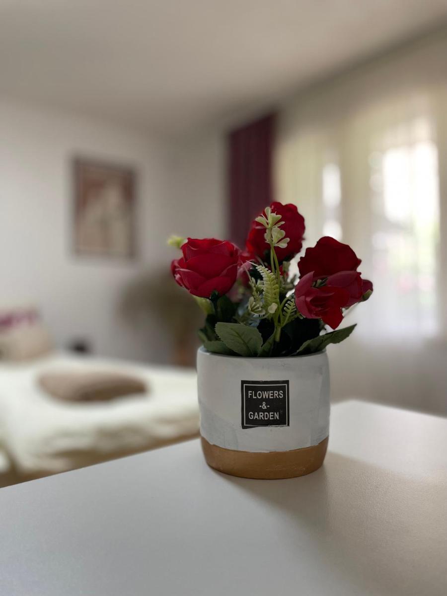 Apartmani Stanković Sokobanja - Housity