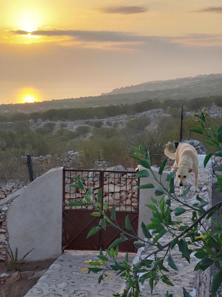 Suitetrails - Capsimbay Beach Cottages