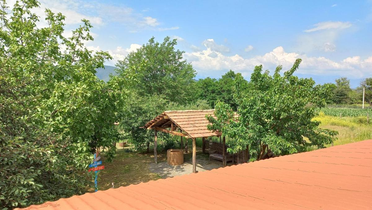 Veli Guest House • საოჯახო სასტუმრო ველი - Housity