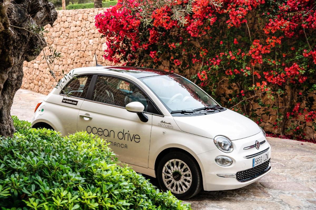 Jardín al aire libre en Ocean Drive Talamanca