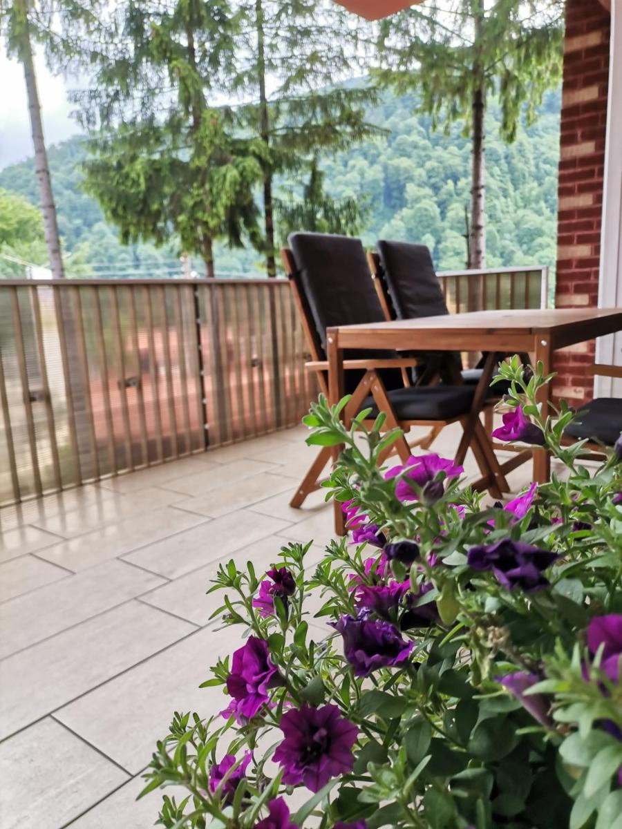 Criss apartament - Housity