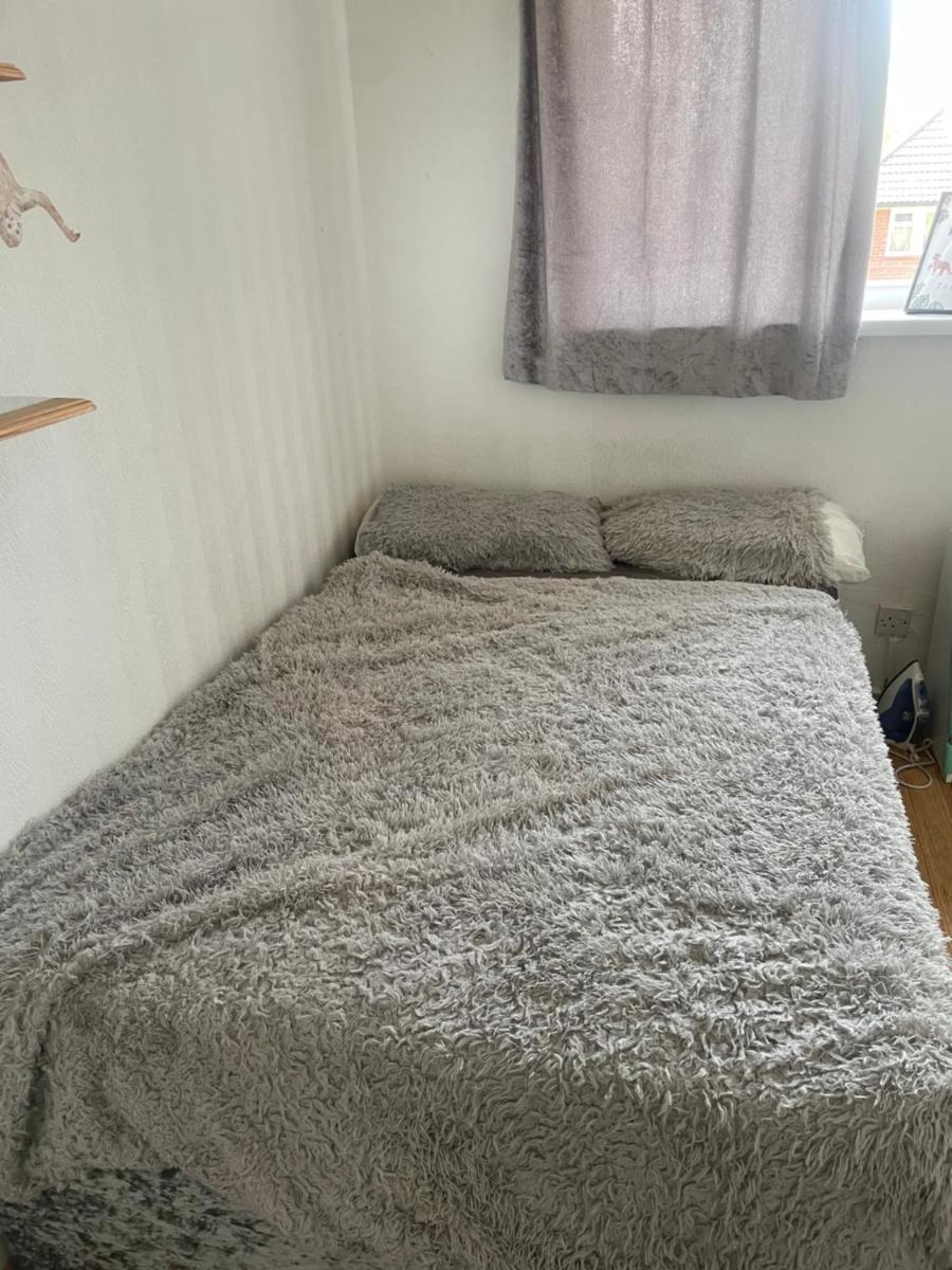 Ultimate Cozy Room - Housity