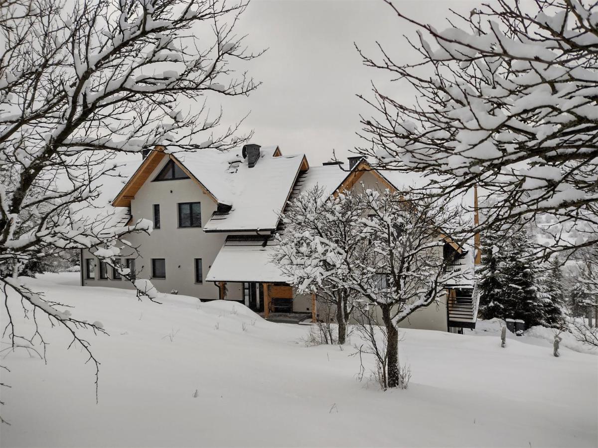 Willa 桃 MoMo Szczawnica - Housity