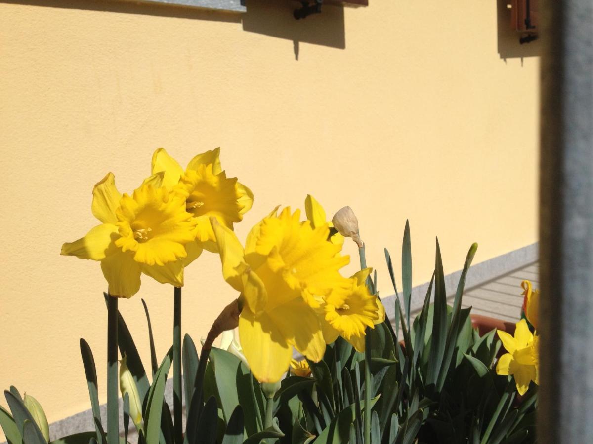 Agriturismo Il Volo - Housity