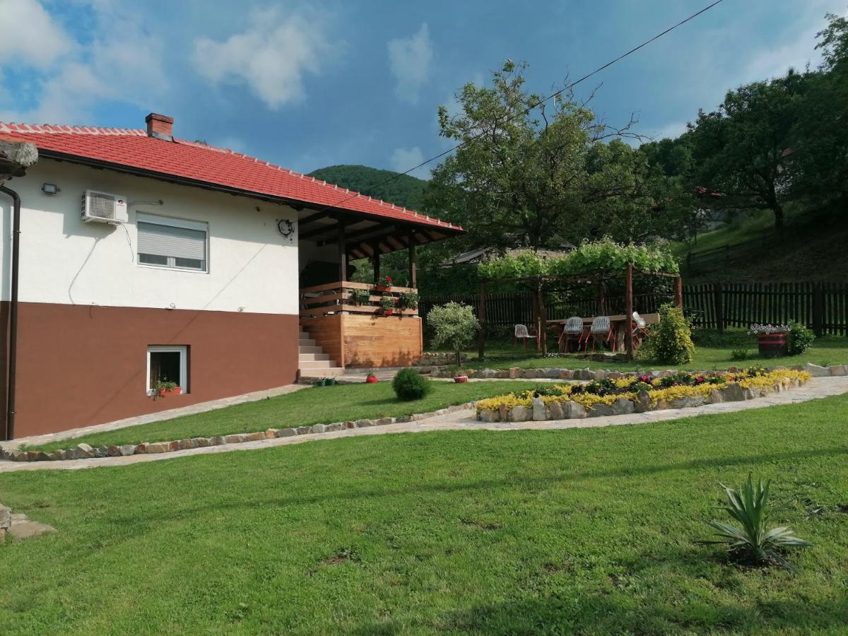 Apartmani Ružina staza - Housity