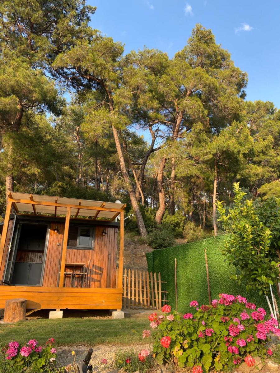 Tiny Mini House - Housity