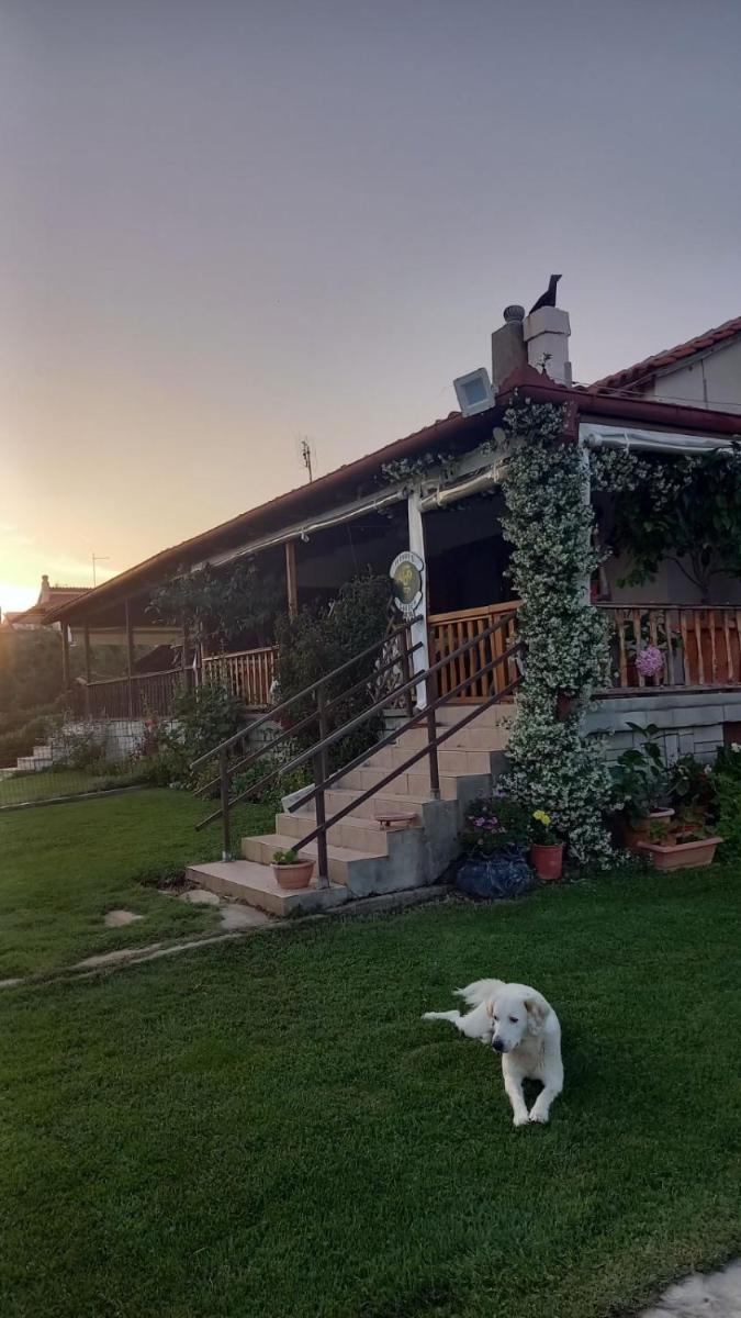 Ivonnis Garden - Housity