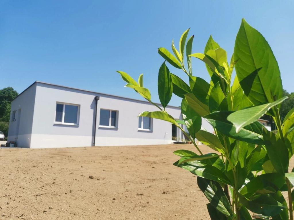Ferienwohnung Florine - Housity