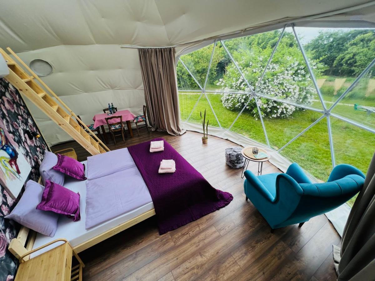 Glamping Stacja Zieleniec w Nałęczowie - Housity