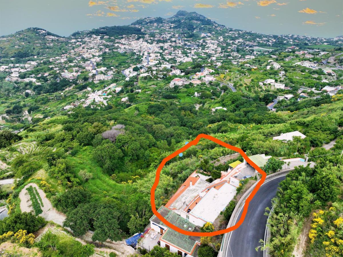 Villa Gesualda - Housity