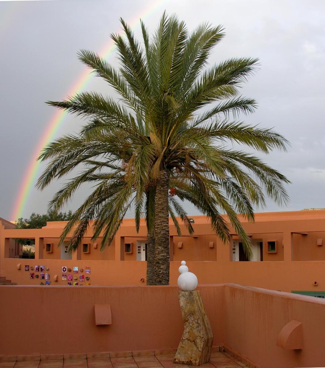 Imagen de la galería de Hotel de Naturaleza Rodalquilar & Spa Cabo de Gata, en Rodalquilar