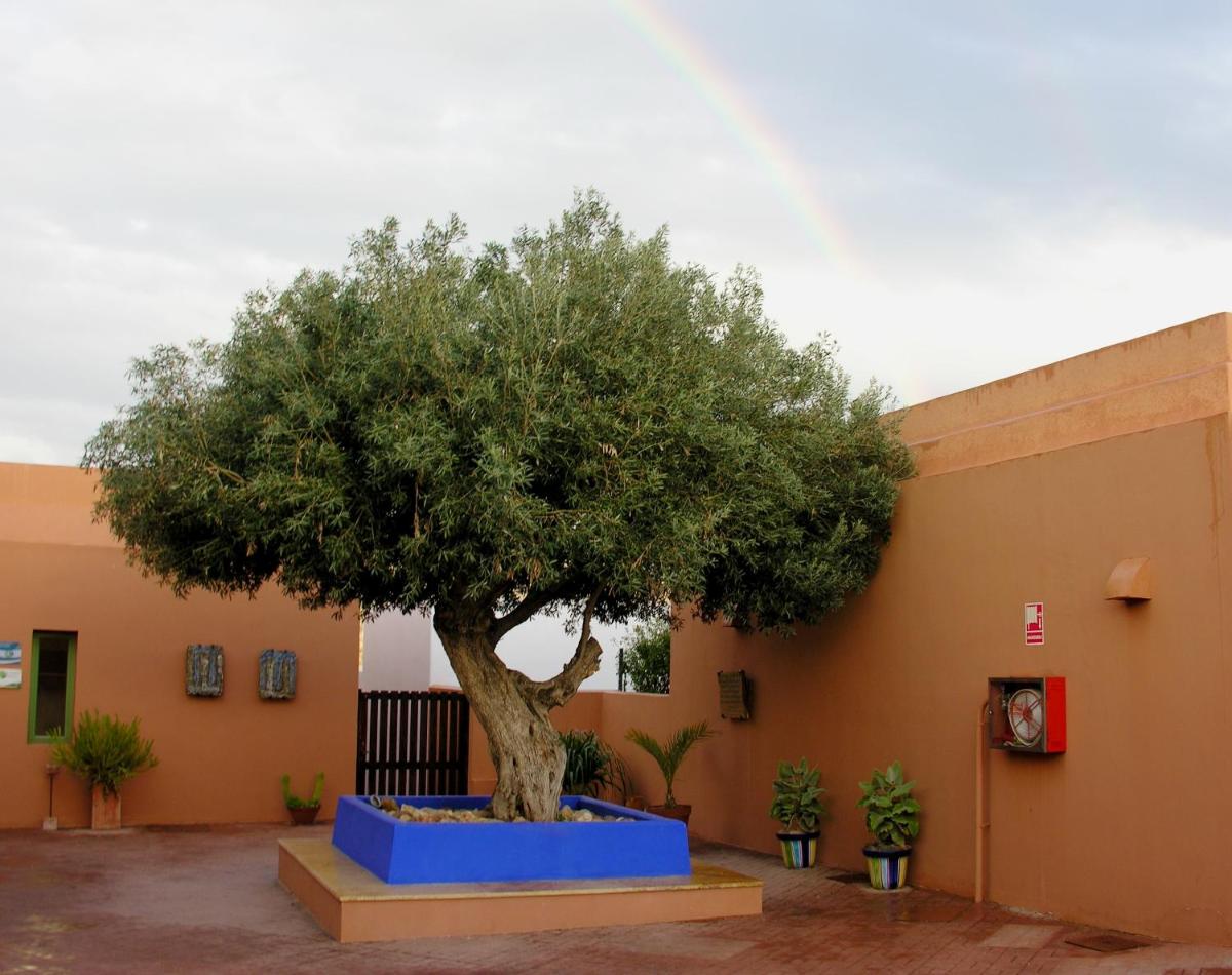 Imagen de la galería de Hotel de Naturaleza Rodalquilar & Spa Cabo de Gata, en Rodalquilar