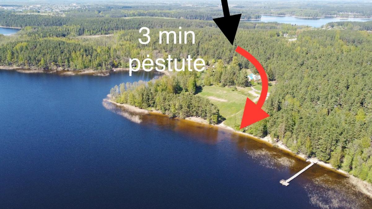 Premium Forest Bungalow with HOT TUB - Housity