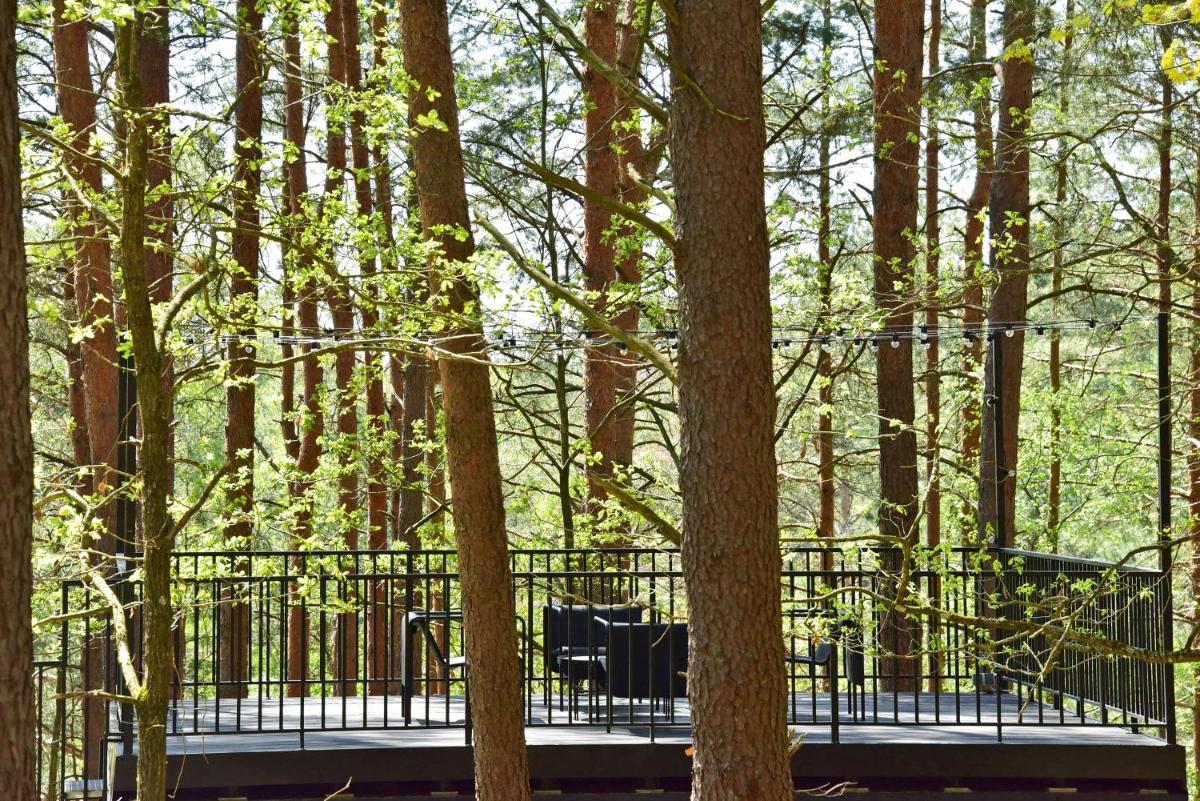Premium Forest Bungalow with HOT TUB - Housity