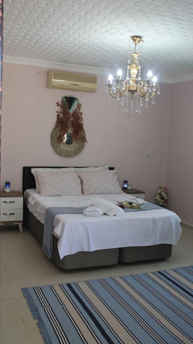 sweet horses ST4 - Housity