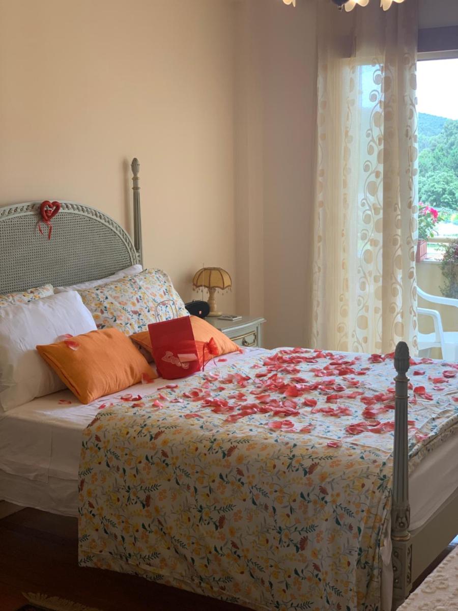 suite vintage - Housity