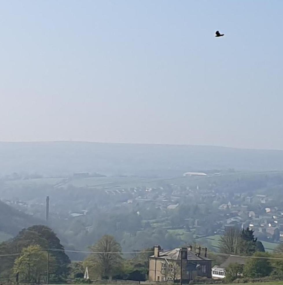 Oakworth - Housity