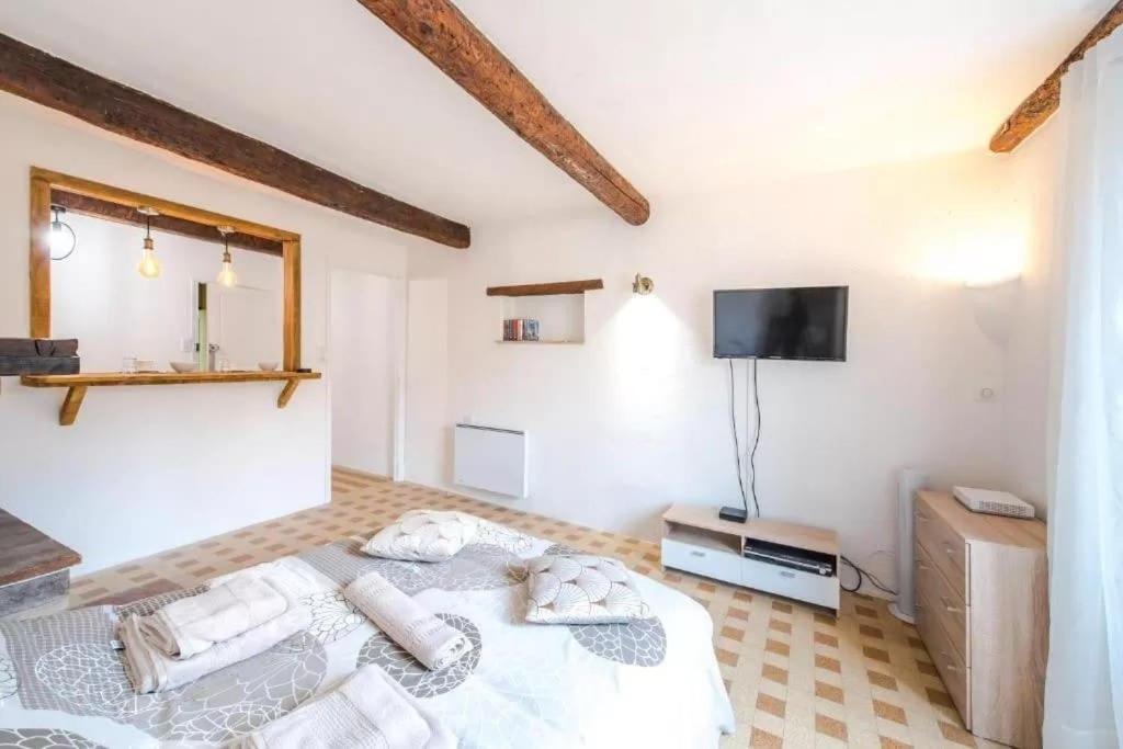 AUTHENTIQUE STUDIO au CŒUR du VILLAGE PROVENCAL - Housity