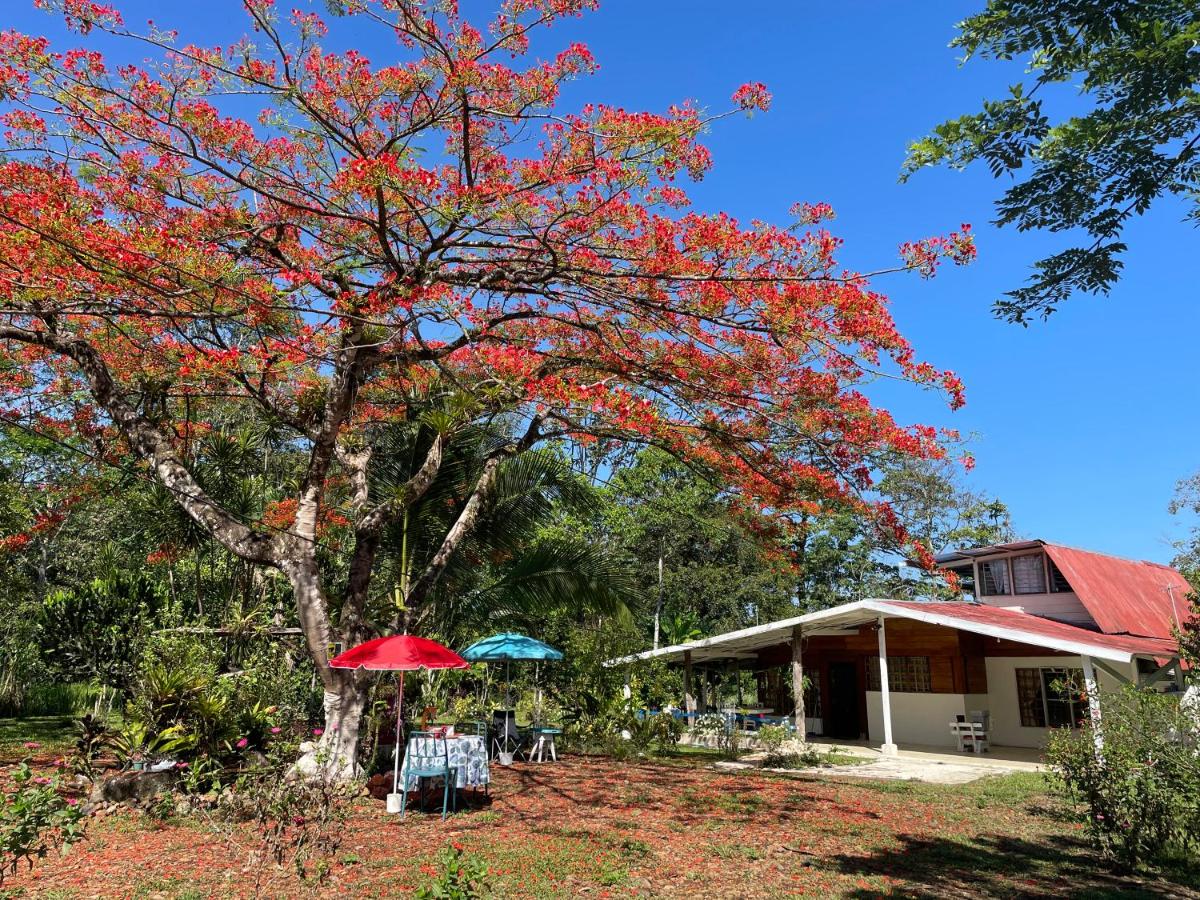 Casa Lindamargarita - Housity