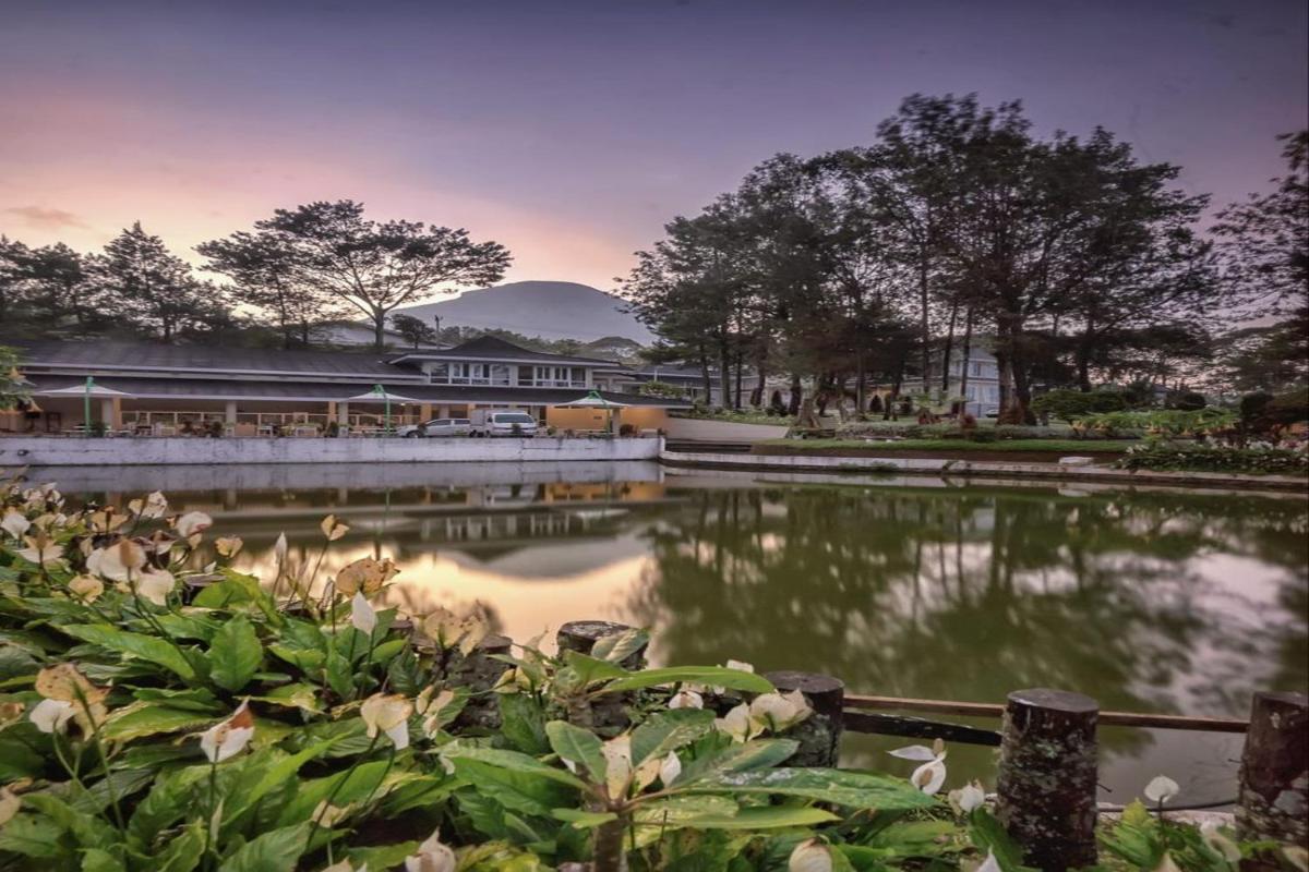 Resort Agrowisata Perkebunan Tambi - Housity
