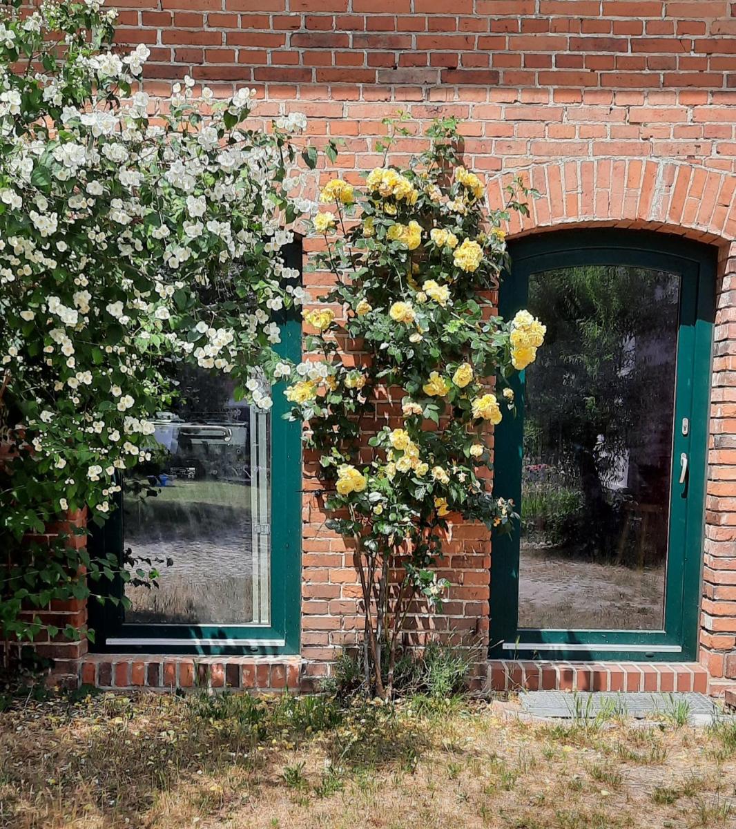 Ferienwohnung Landidylle - Housity