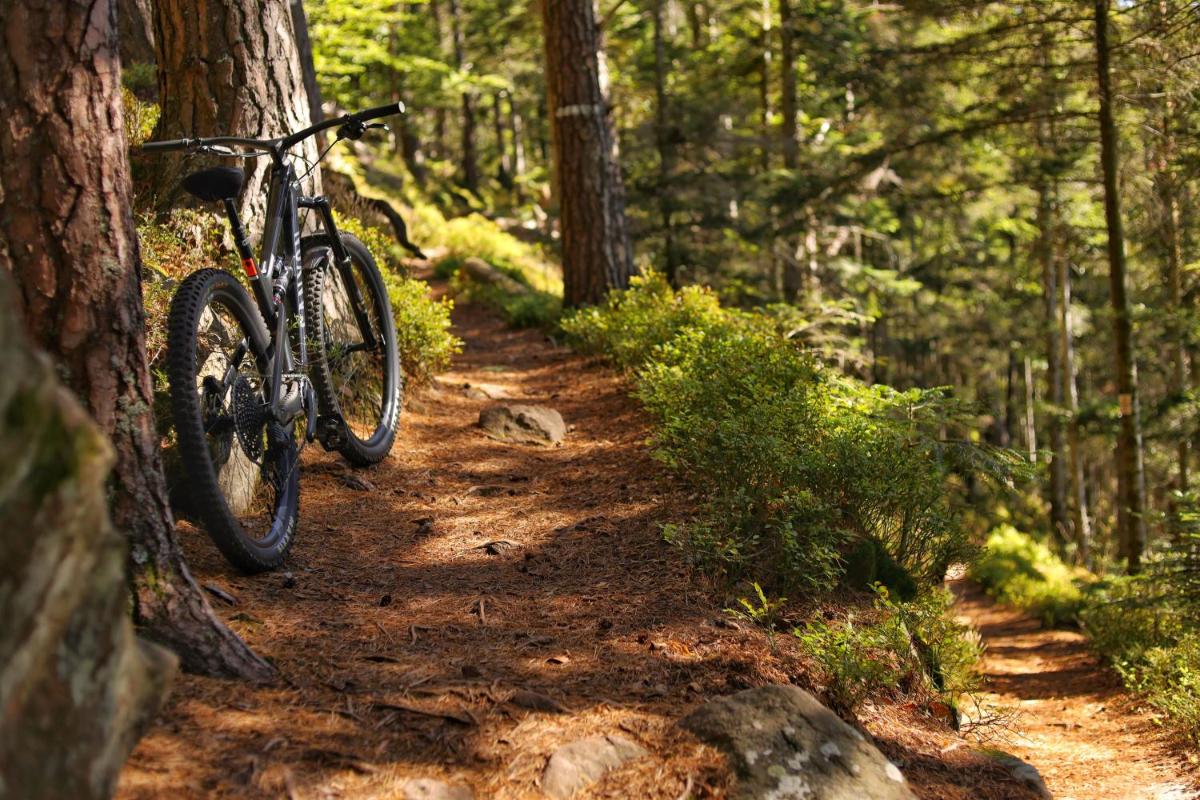 Vélo sur le terrain de l'établissement LE CLOS DES SOURCES Hôtel & Spa ou dans les environs