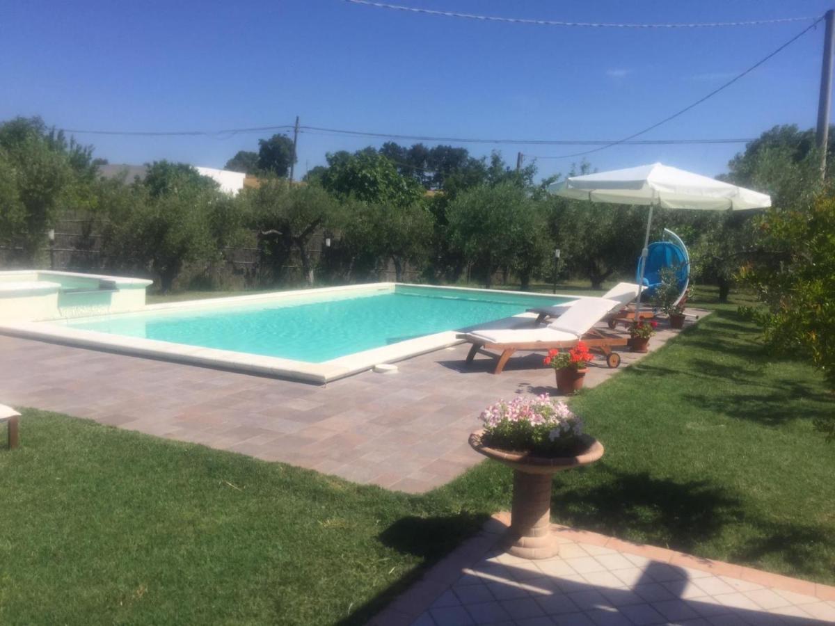 Paraiso - Housity
