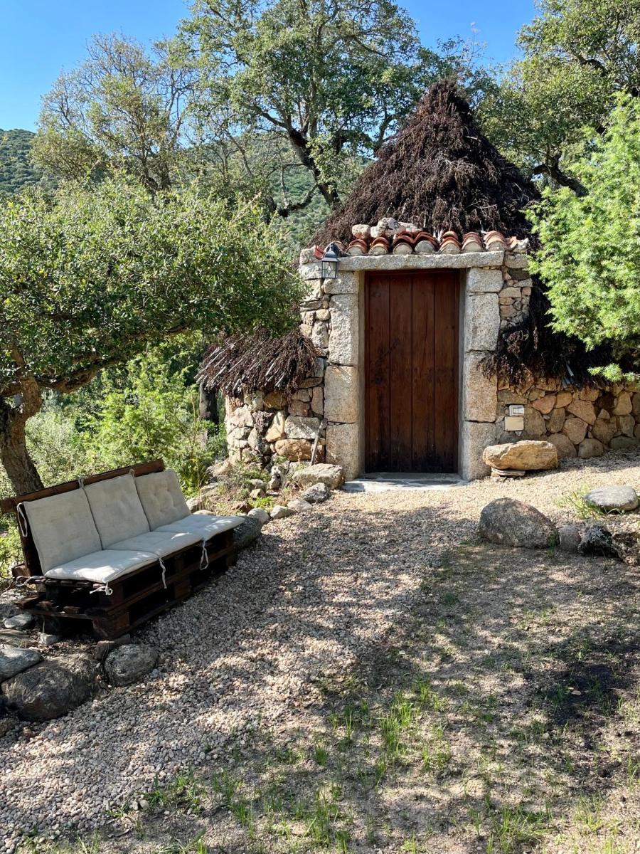 [Oschiri - Lago Coghinas] Super riservato con piscina - Housity