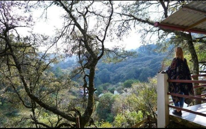 Cabaña El Encino II En Real del Monte - Housity
