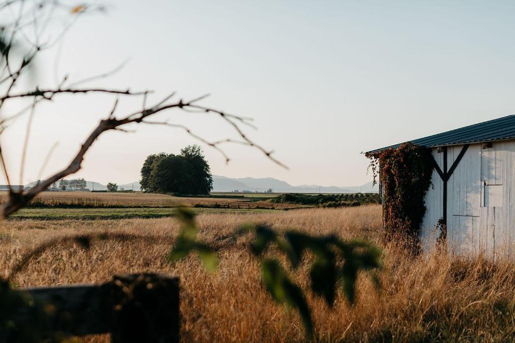 House Kinlands Cottage in Magic Skagit Valley - Housity