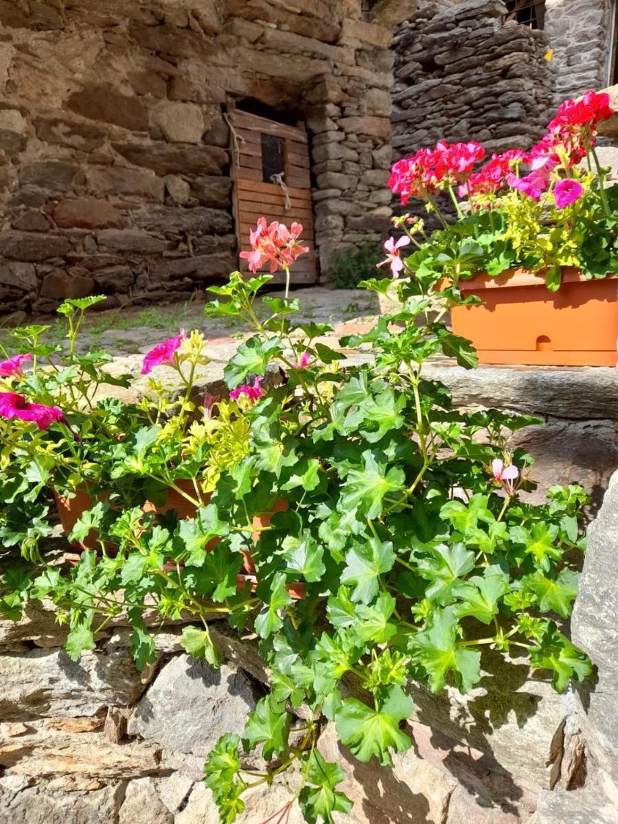 Bed & Breakfast La Crotta - Housity