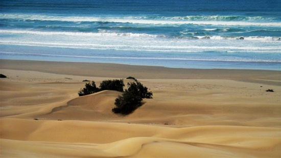 Suitetrails - Hotel EL MARSA LA PLAYA