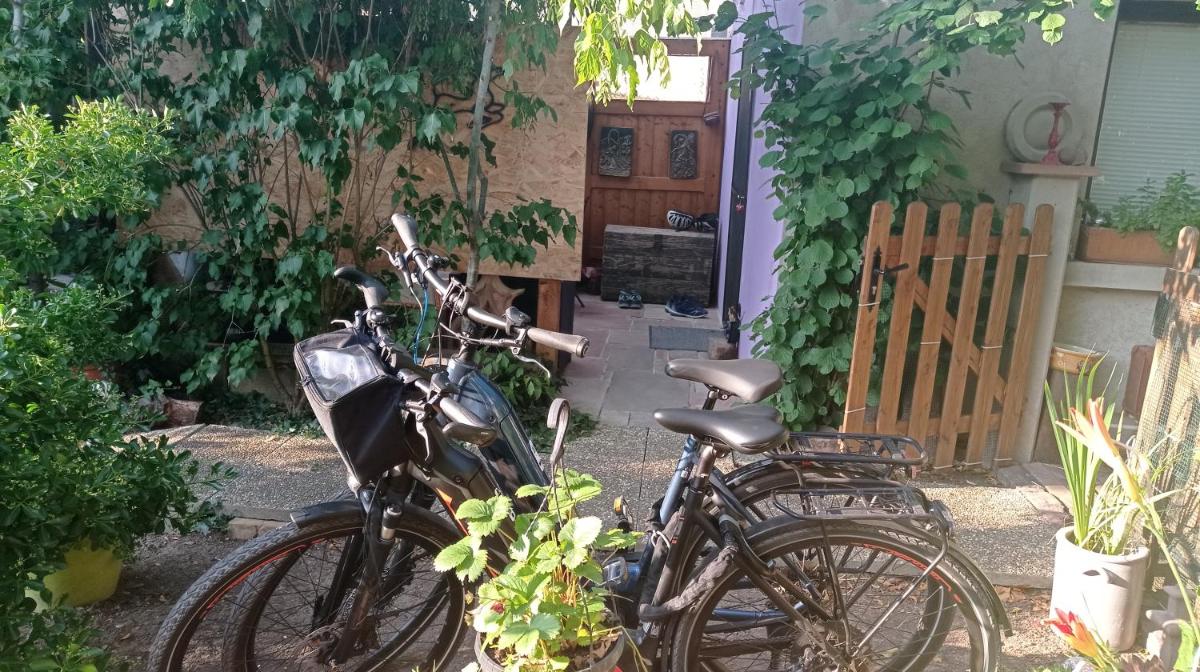 Garden Duplex - Housity