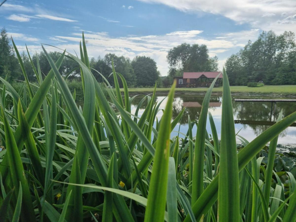 Atostogų namelis kaime - Housity