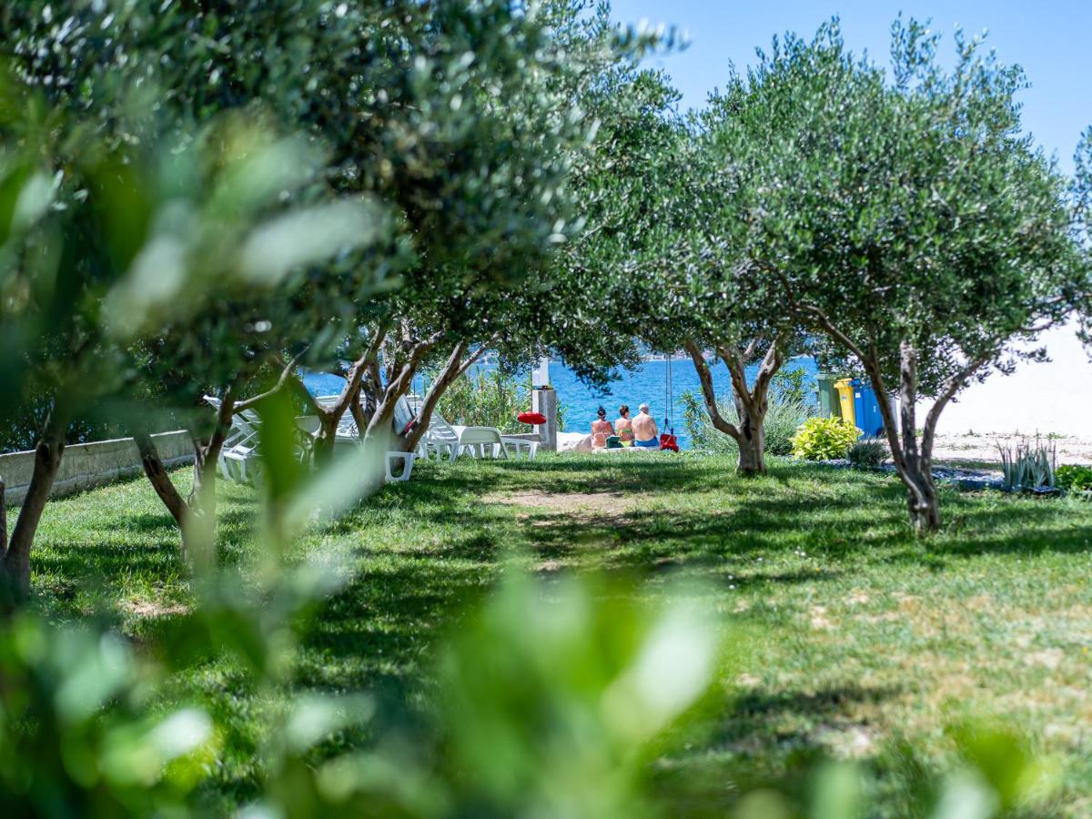 Apartmani VINKO Bibinje - Housity