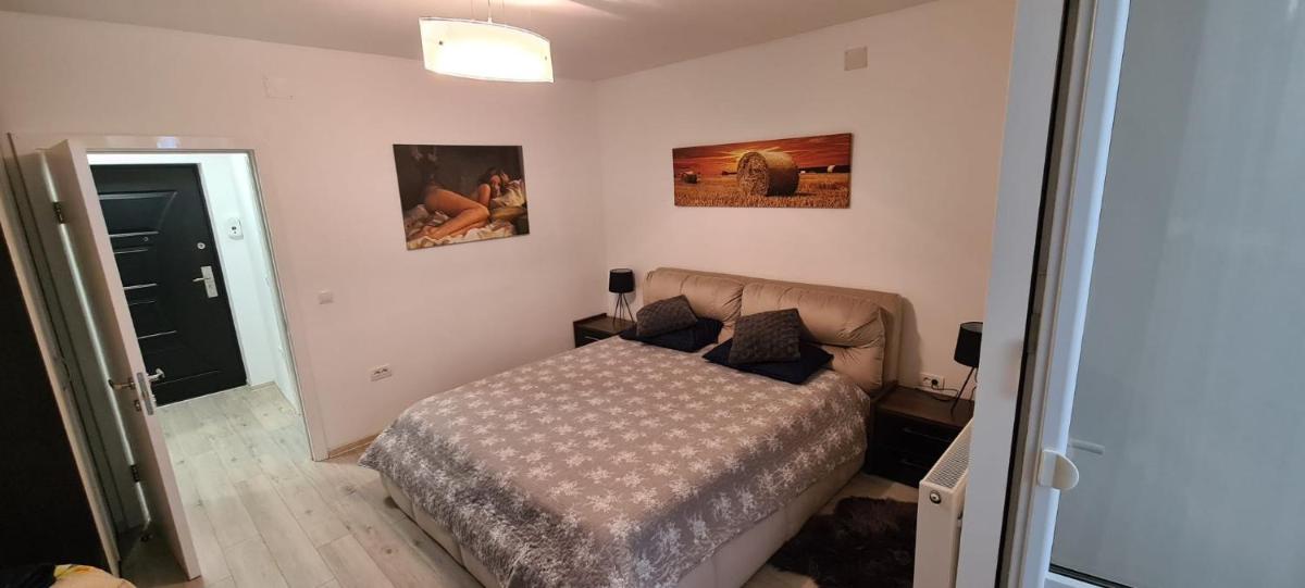 Apartament cu 1 camera spatios ,luminos . - Housity